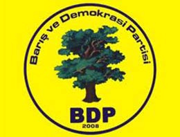 BDP'ye göre demokratik özerklik onaylandı